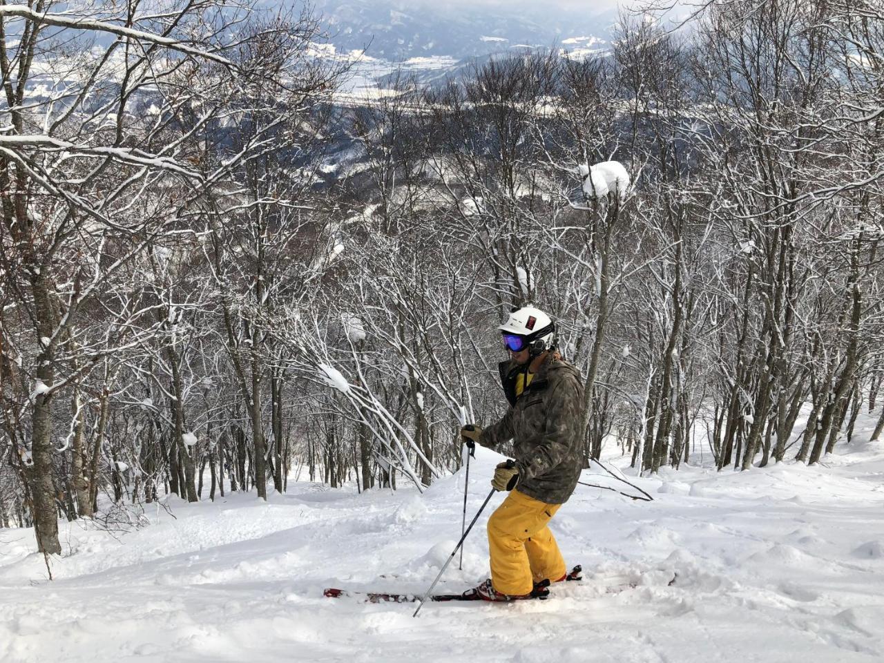 Hotel Onsen Yado Echo Myoko Zewnętrze zdjęcie